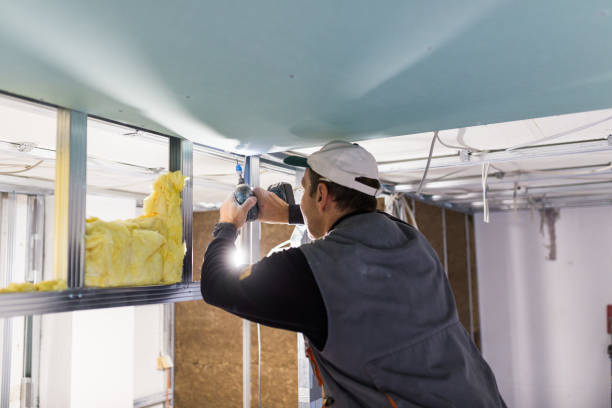 Best Insulation Contractor Near Me  in Shelbyville, IN