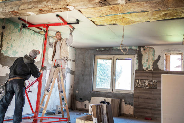 Best Insulation for New Construction  in Shelbyville, IN