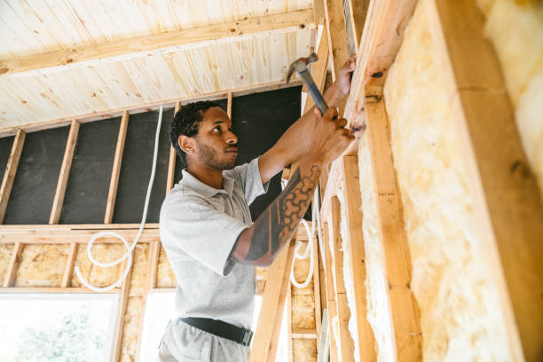 Best Insulation Removal  in Shelbyville, IN