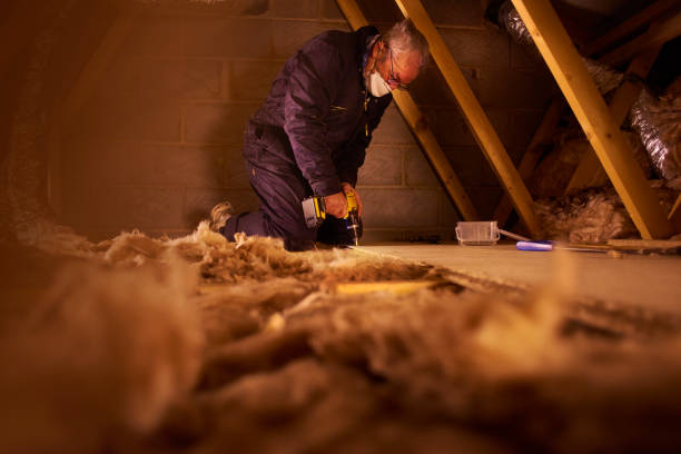 Best Attic Insulation Installation  in Shelbyville, IN